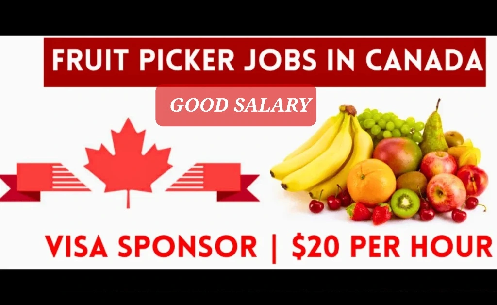 Canada Fruit Picker Jobs with LMIA Approved